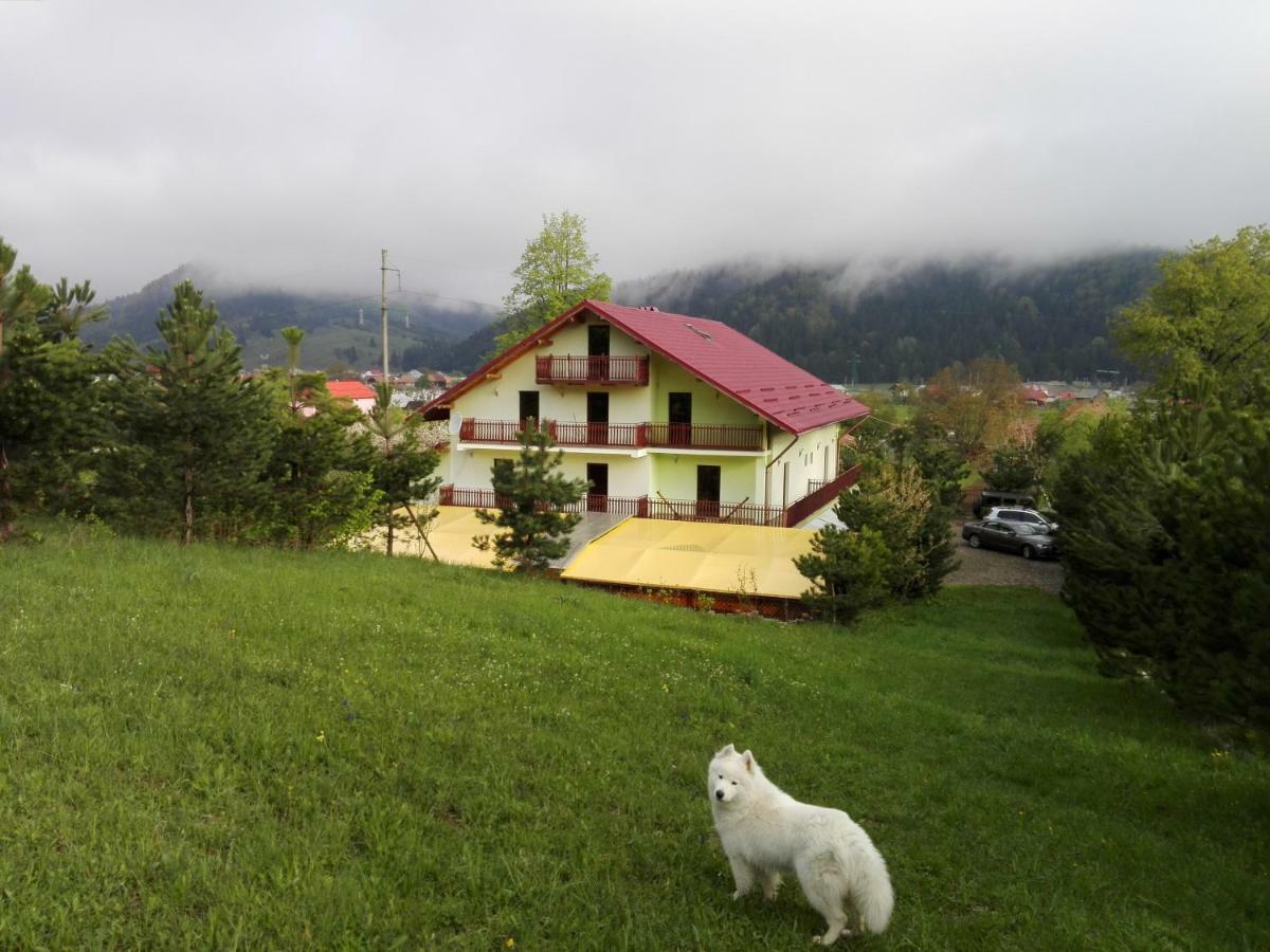 Grandemi Belvedere Bucovina Frasin Esterno foto
